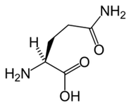 Keto Diet-də L-qlutamin